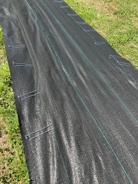 Black landscaping fabric held down by metal stakes